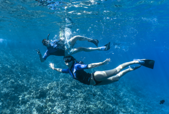 Kanaloa: The Hawaiian Ocean God & Maui’s Reefs