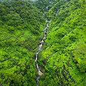 Top 10 Waterfalls on Maui Honokohau Falls