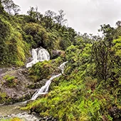 Top 10 Waterfalls on Maui Upper Waikani Falls