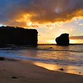 Trip to Lanai