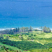 Dillingham Ranch