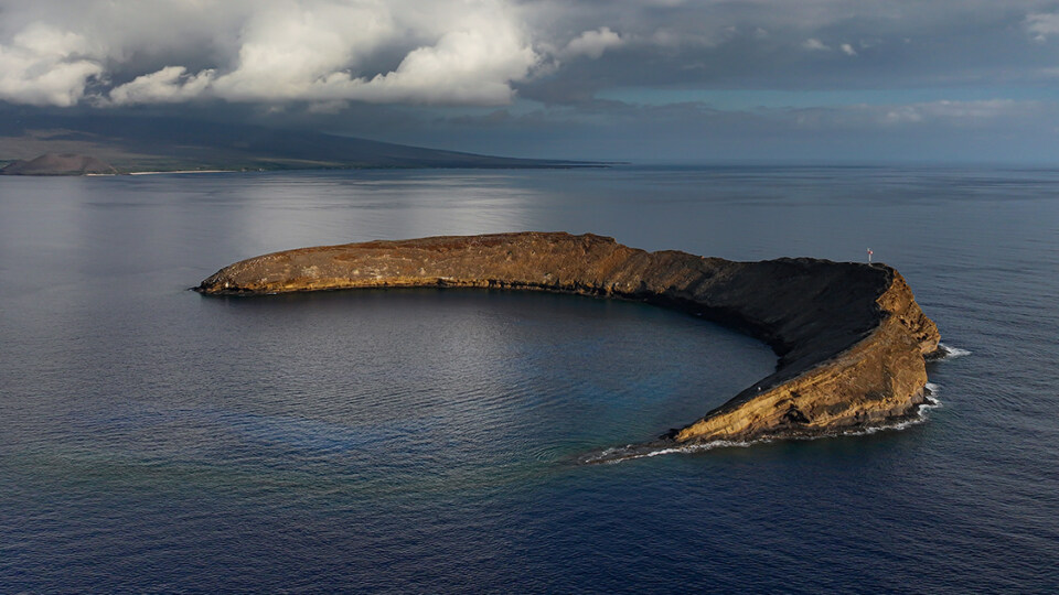 How Maui Snorkel Crews Decide When Conditions Are Right