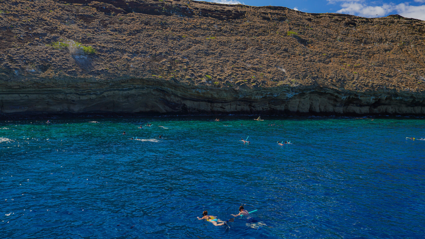 Snorkelers floating above reef water at Molokini Crater off Maui