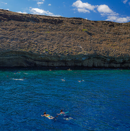 Snorkelers floating above reef water at Molokini Crater off Maui