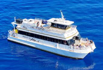 What Changes on a Snorkel Tour When Ocean Conditions Shift