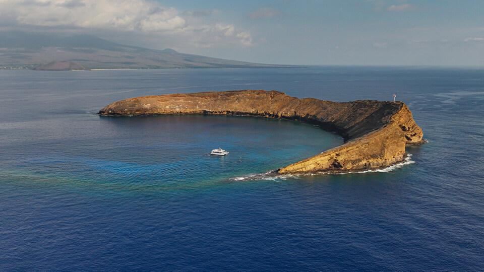 Why Molokini Visibility Can Change Hour by Hour