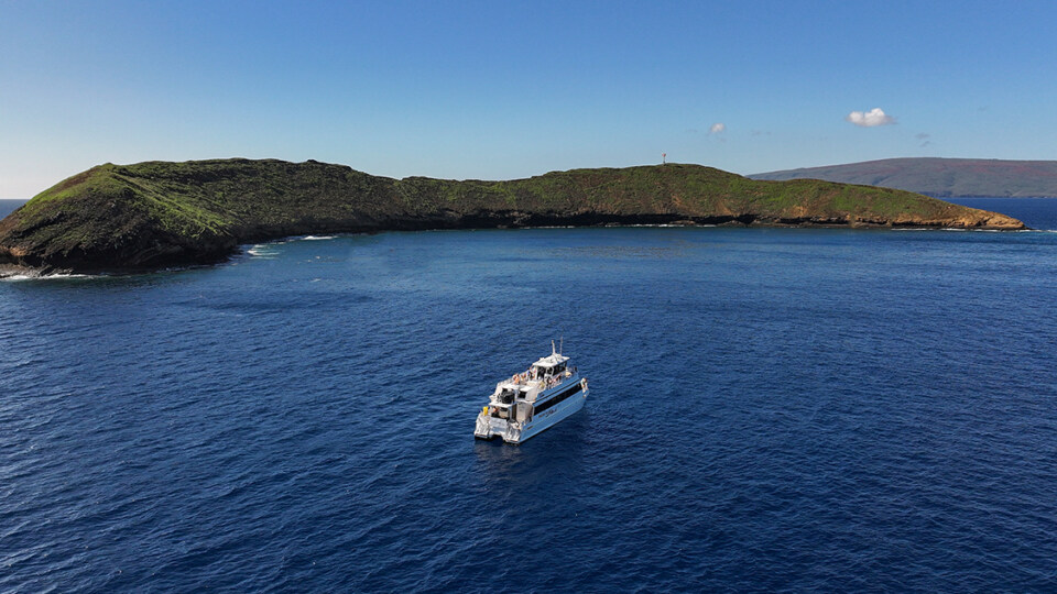 Is Molokini Good for First-Time Snorkelers?