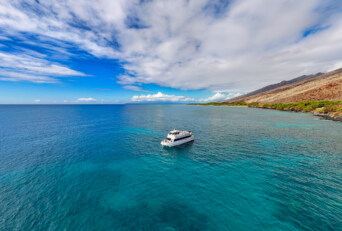 How Maui Snorkel Tours Choose Where to Go (And Why It Matters)