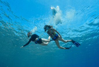 What SNUBA Diving in Maui Is Like for Beginners