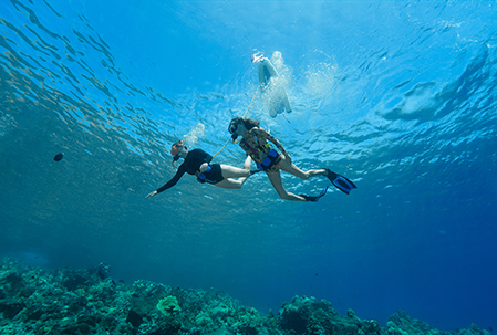 Two SNUBA divers glide side by side above a Maui reef, tethered to air lines running up to the surface