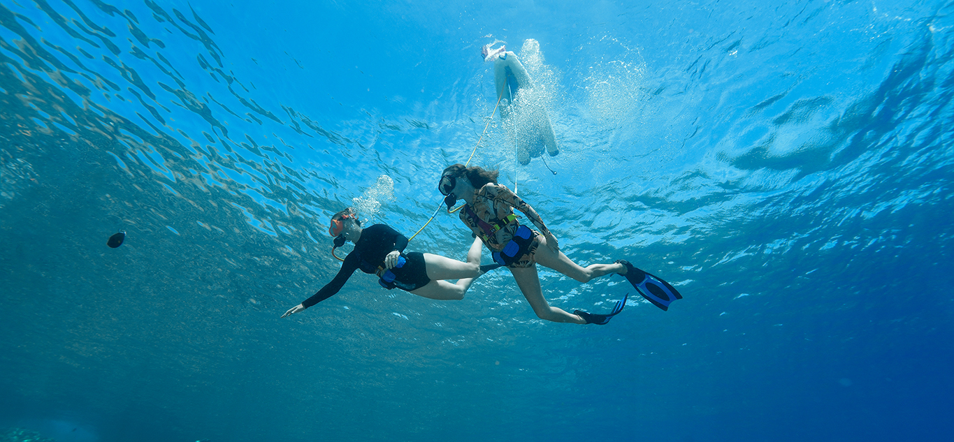 Two SNUBA divers glide side by side above a Maui reef, tethered to air lines running up to the surface