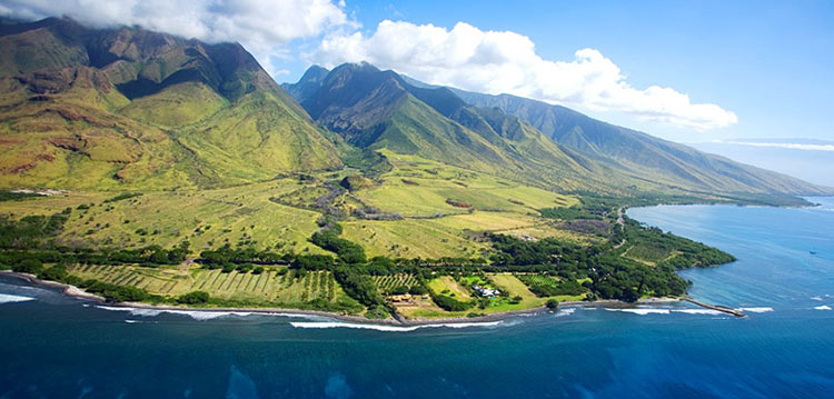 Olowalu Snorkel Destination Maui