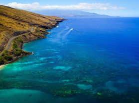 Maui Hawaii Adventure Snorkel Coral Gardens