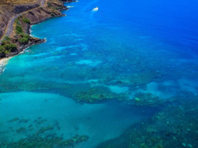 Top Maui Coral Gardens Adventure Snorkel Tour
