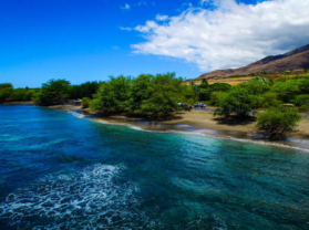 Maui Coral Reef Best Snorkel Tour Olowalu