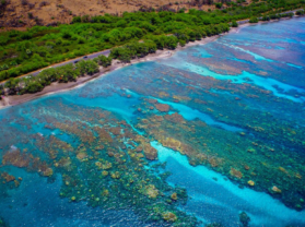 Best Maui Coral Reef Snorkel Tour Olowalu