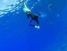 Snorkeling Maui