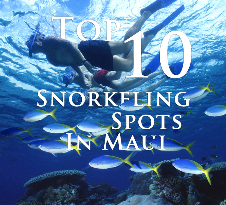 Top 10 Snorkeling Spots in Maui