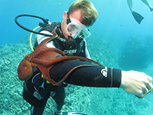 Best Maui Hawaii Underwater Sealife Snorkel Adventure Tour