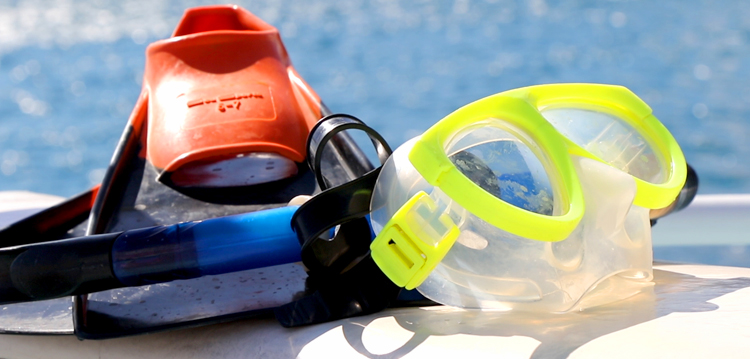 Best Maui Hawaii Snorkel Gear Equipment