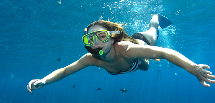 girl snorkeling in blue maui ocean with fish and turtles