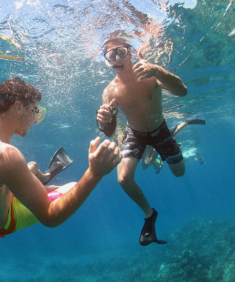 Best Afternoon Underwater Snorkel Tour