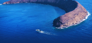 Top Rated Hawaii Maui Molokini Snorkel Tour