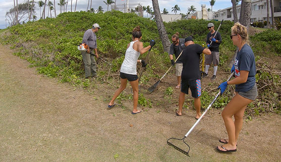 Maui Ocean Conservation