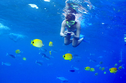 Underwater Sea Life Maui Snorkel Experience