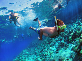 Maui Hawaii Coral Reef Snorkeling Excursion