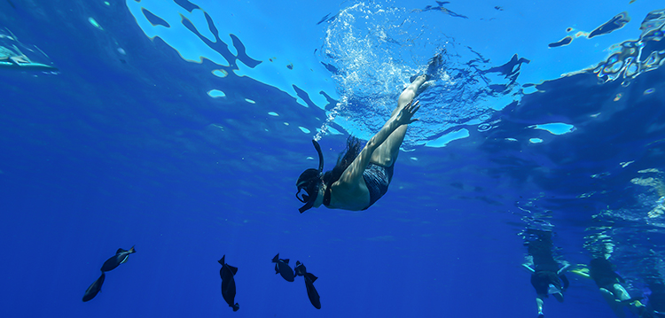 Snorkeler swimming with fish