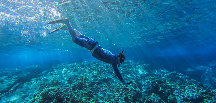 snorkeler underwater at molokini