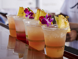 Best Maui Cruise Open Bar