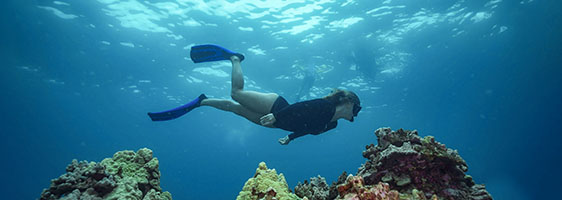 Guest snorkeling at Molokini