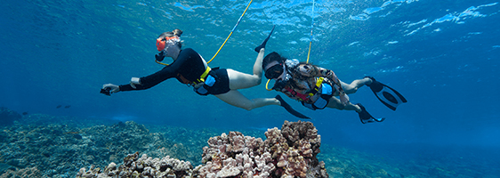 Guests SNUBA diving at Molokini