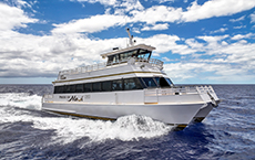 Pride of Maui 'Elua Sailing