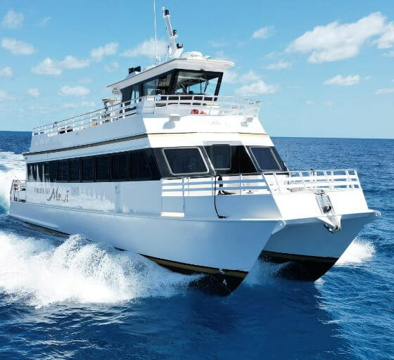 'Elua sails