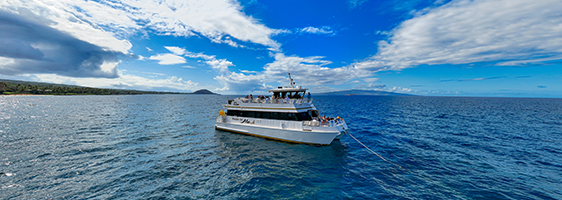 Aerial view of the ʻElua whale watching boat offshore near Maui