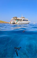 Not a Raft. A 65-Foot Catamaran.